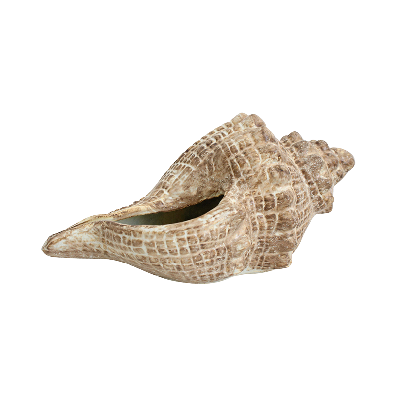 Decorative shell