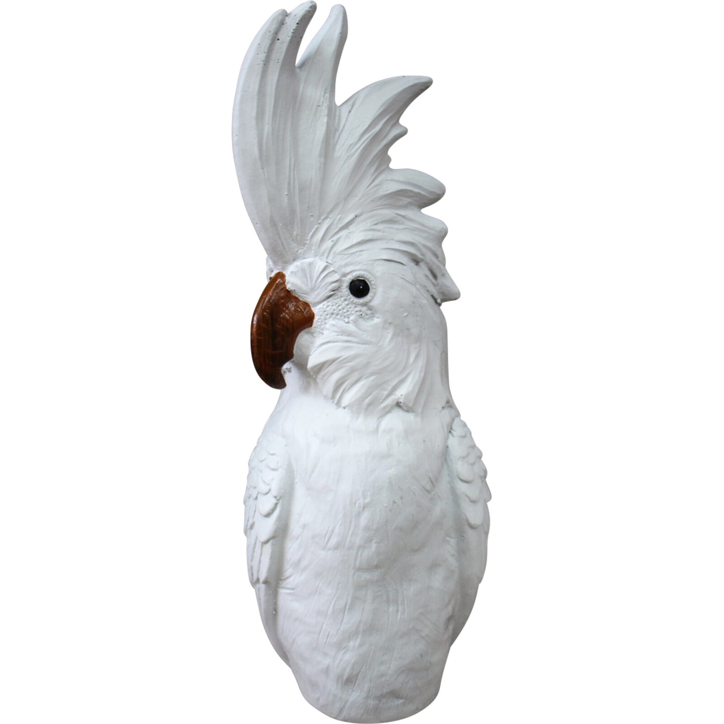 Cockatoo Large