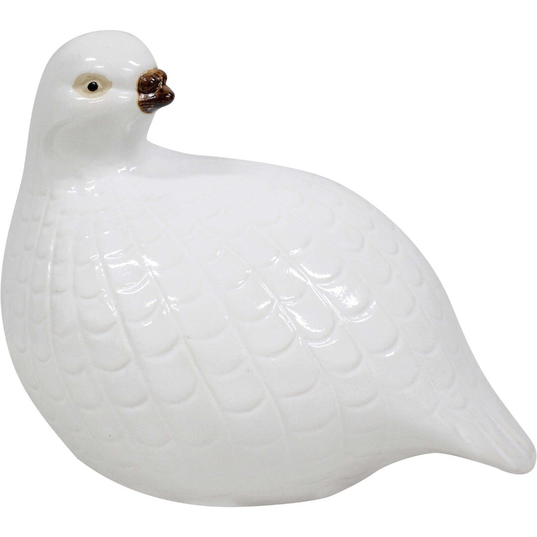 Guinea Fowl White ( Medium )