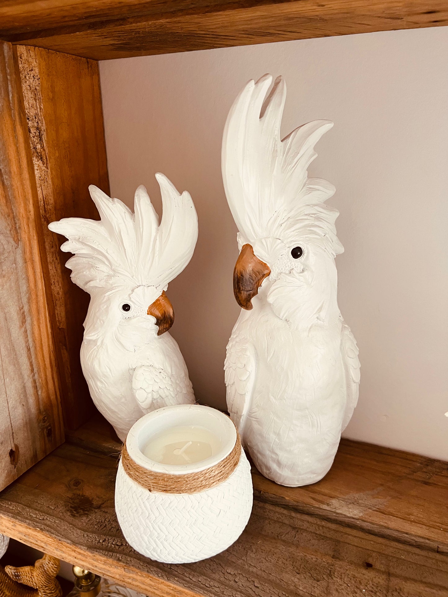 Cockatoo Large