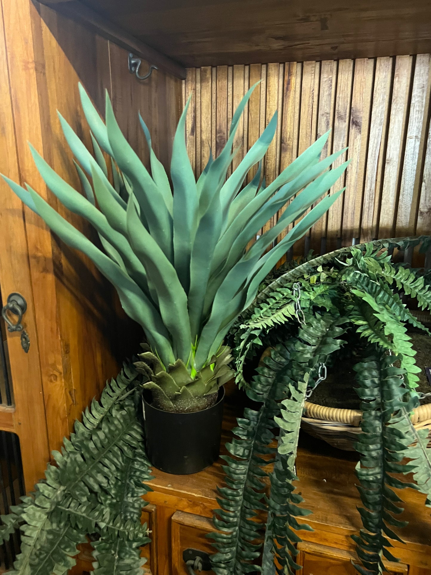 Fake Bigger Yakka Plant