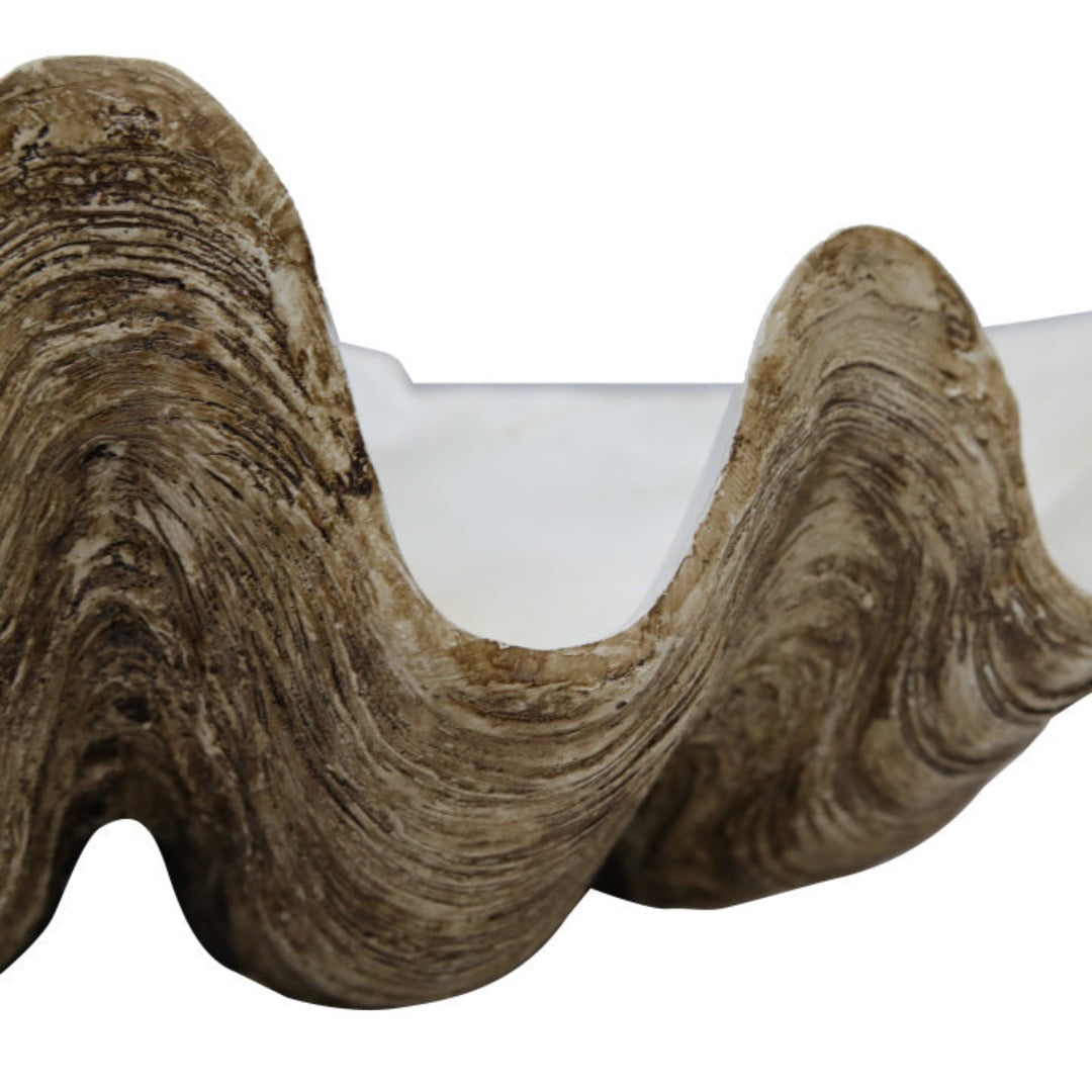Poly Clam Natural Large