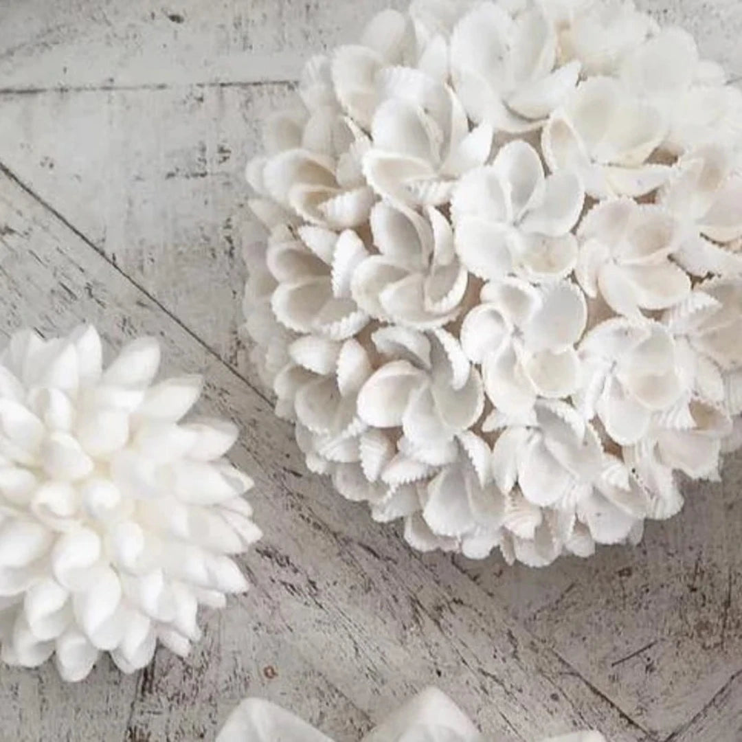 Shell Ball - Frangipani Design Decor Balls