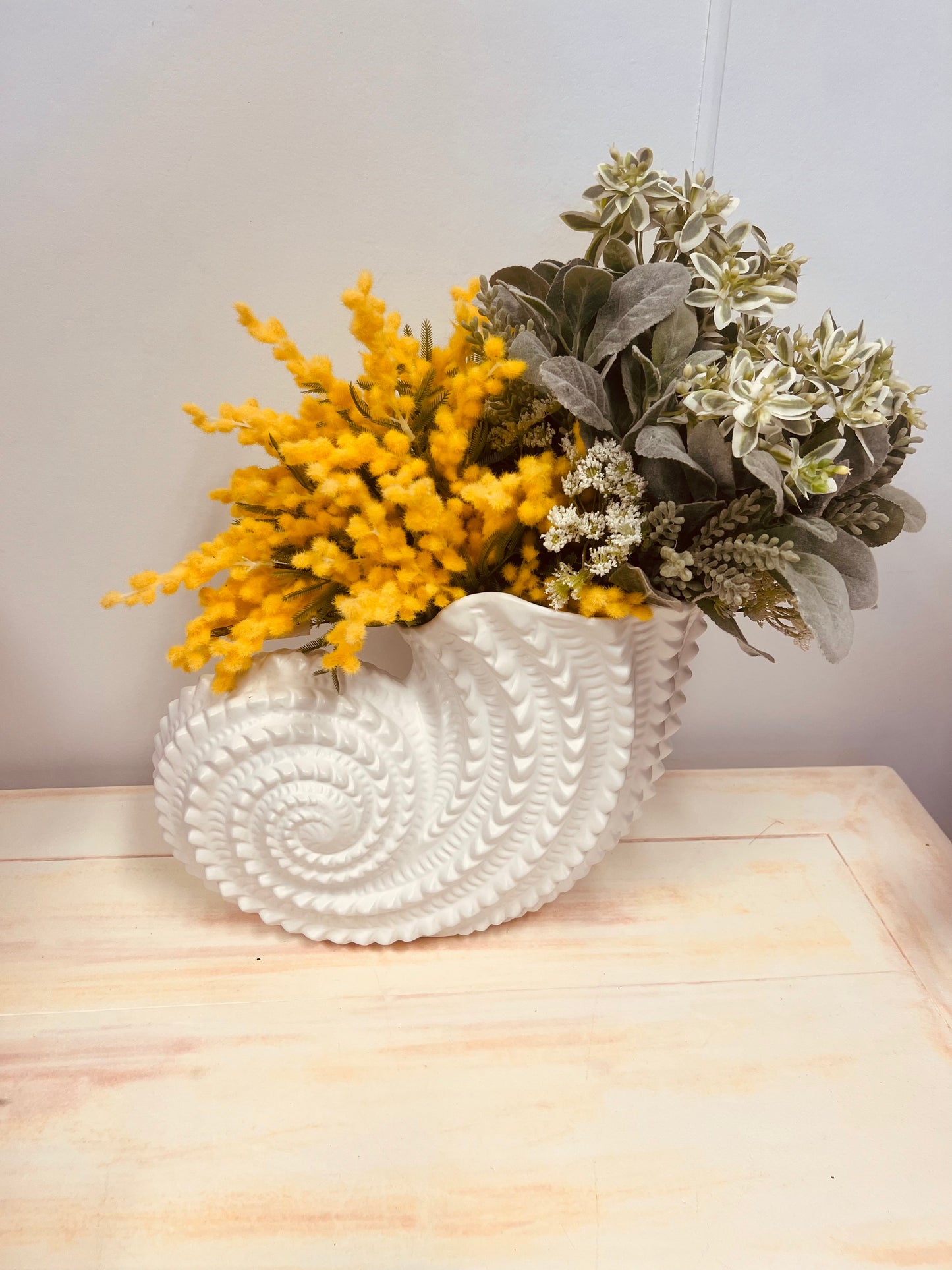 Giant Trumpet Shell Vase / Planter