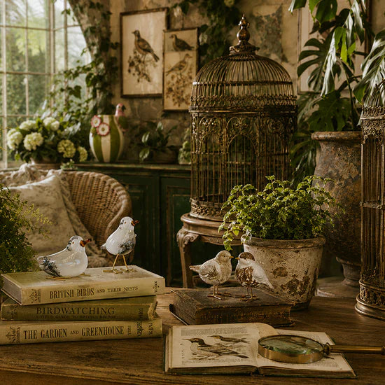 The Aviary