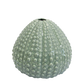 Urchin  Textured green vase 