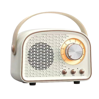 Vintage-Style Pastel Bluetooth Speaker – Cream, Pink & Mint
