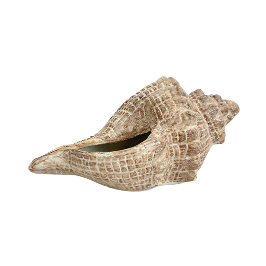 Decorative shell 