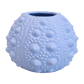 pale blue vase with sea urchin texture