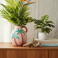 Pink Paloma Palm Vase