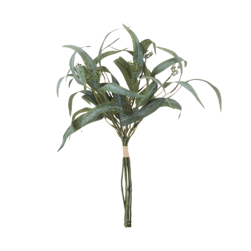 Bouquet of Eucalyptus leaves 