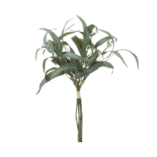 Bouquet of Eucalyptus leaves 