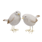 Pair of white birds