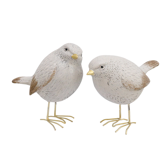 Pair of white birds
