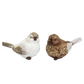 Brown and white ornamental birds