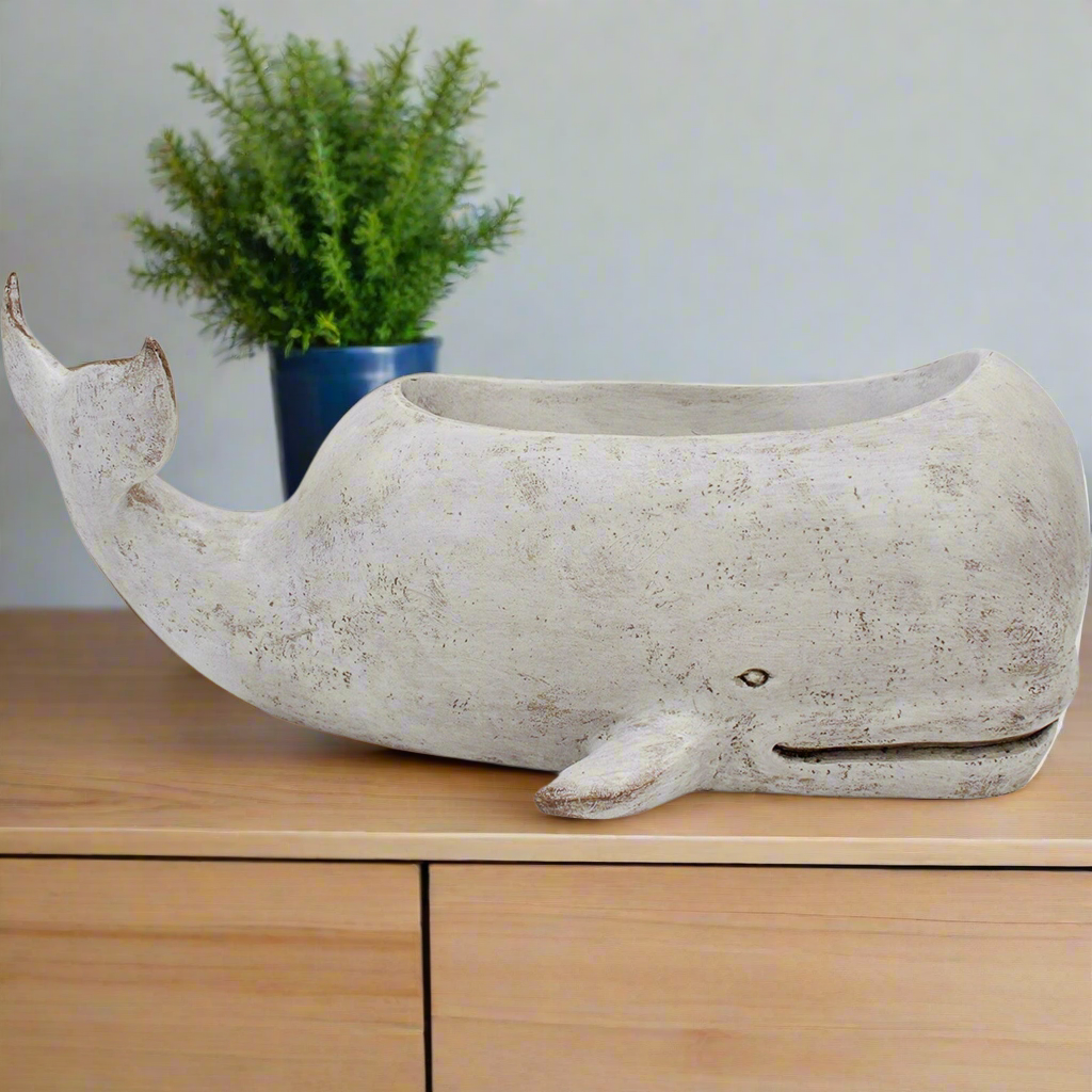 Planter Whale  - Large