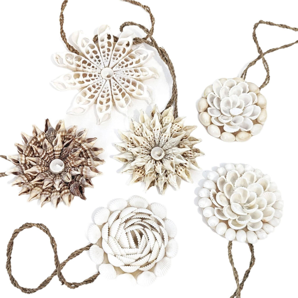 Seashell Hanger Set of 6