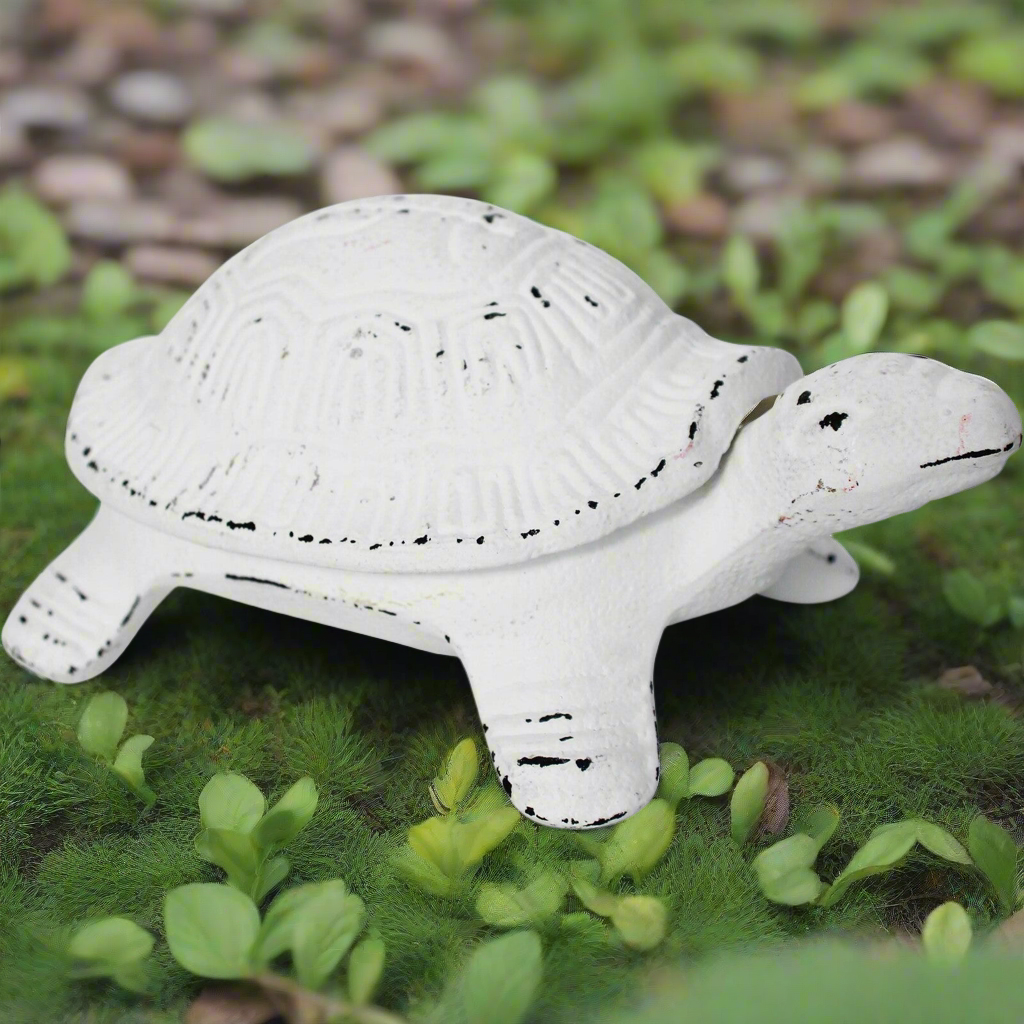 Keyhide Turtle Rustic White