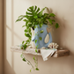 A light blue whale-shaped planter with a cream-colored interior, filled with a green monstera plant and trailing pothos plant, displayed on a rustic wooden shelf against a warm beige wall.