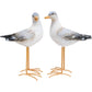 Chattering Seagull Pair with white and grey bodies and tall ochre-coloured legs.