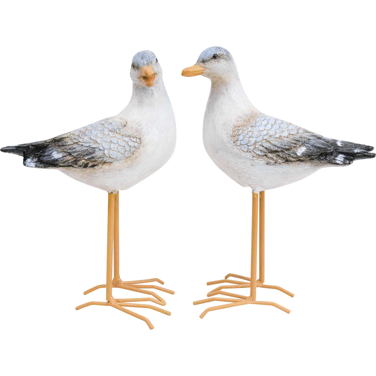Chattering Seagull Pair with white and grey bodies and tall ochre-coloured legs.