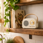 Vintage-Style Pastel Bluetooth Speaker – Cream, Pink & Mint