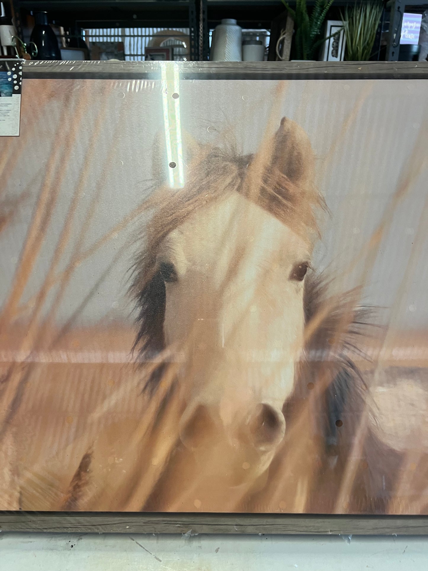 2 horses Artwork Framed
