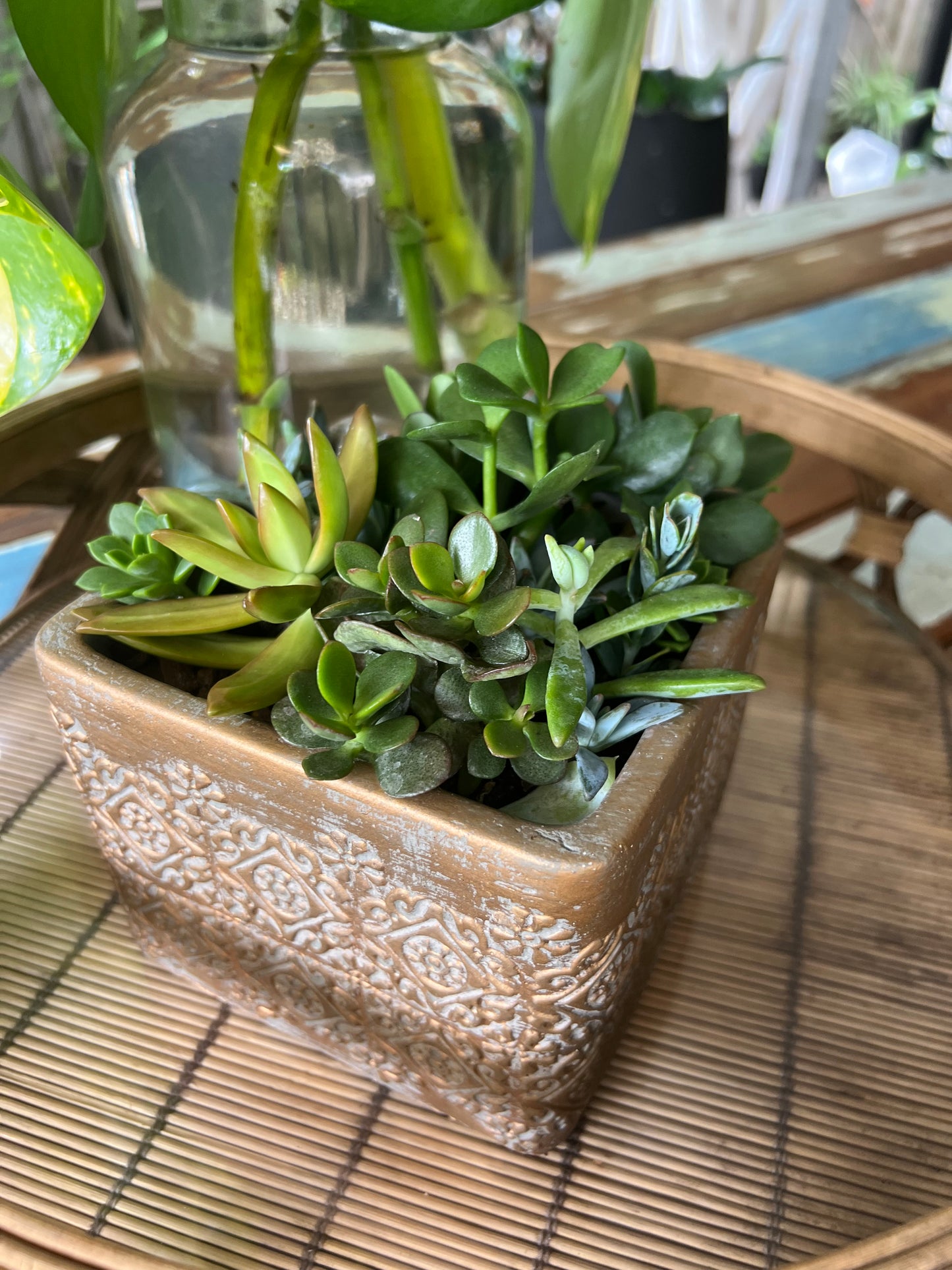 Gold Pattern Planter with succulents ready to go (