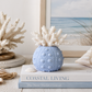 Saltwashed Blue Urchin Vase Small