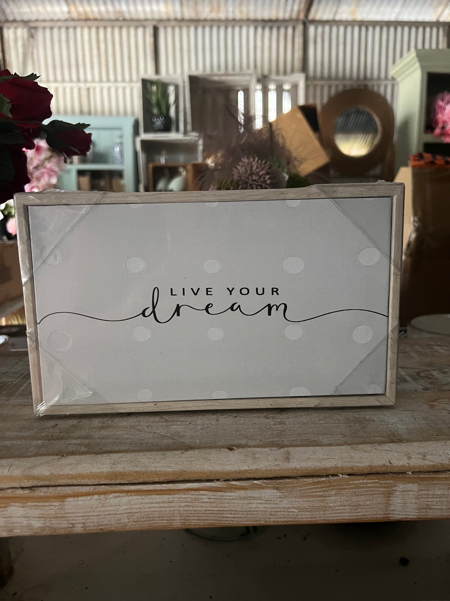 Live Your Dream Sign