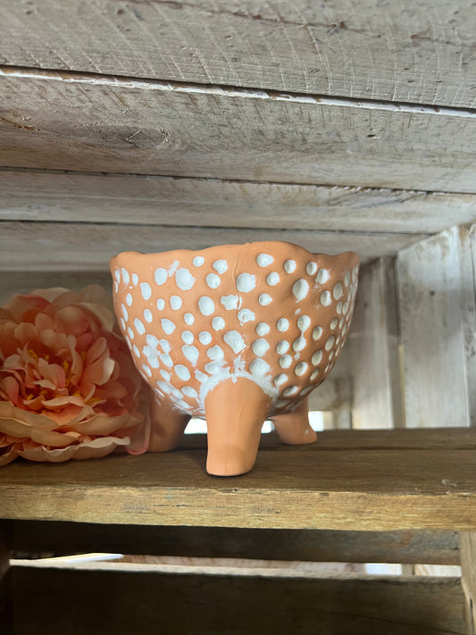 Little Terracotta Dots Pot