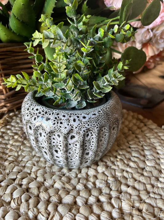 Black and white pattern little Pot