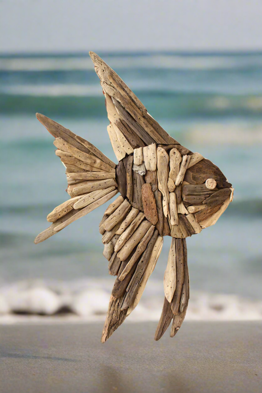 Driftwood Angel Fish Wall Art