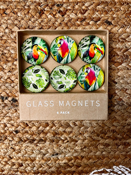 Tropical Glass Magnet Set