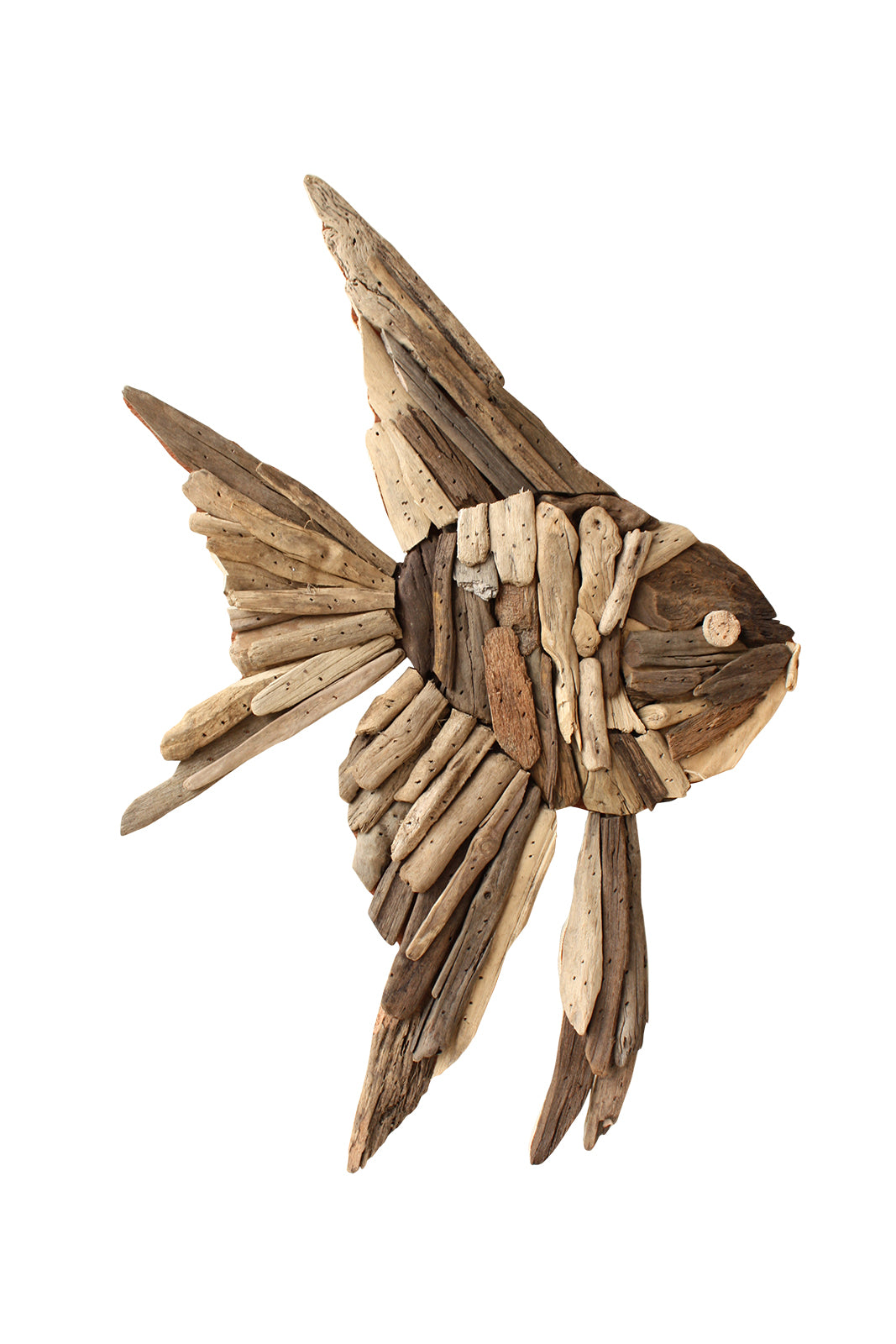 Driftwood Angel Fish Wall Art