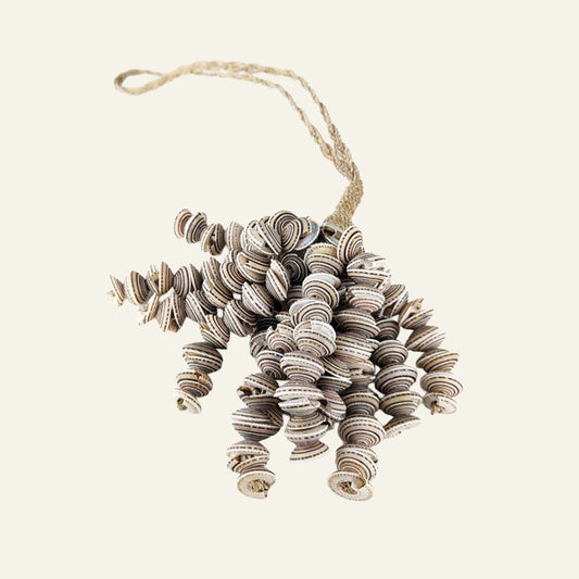 Natural shell cluster hanging made from layered small seashell strands on a loop of natural twine.