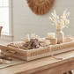 Natural Shell Cluster Hanging Ornament