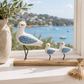 Coastal Seagull Family Ornament