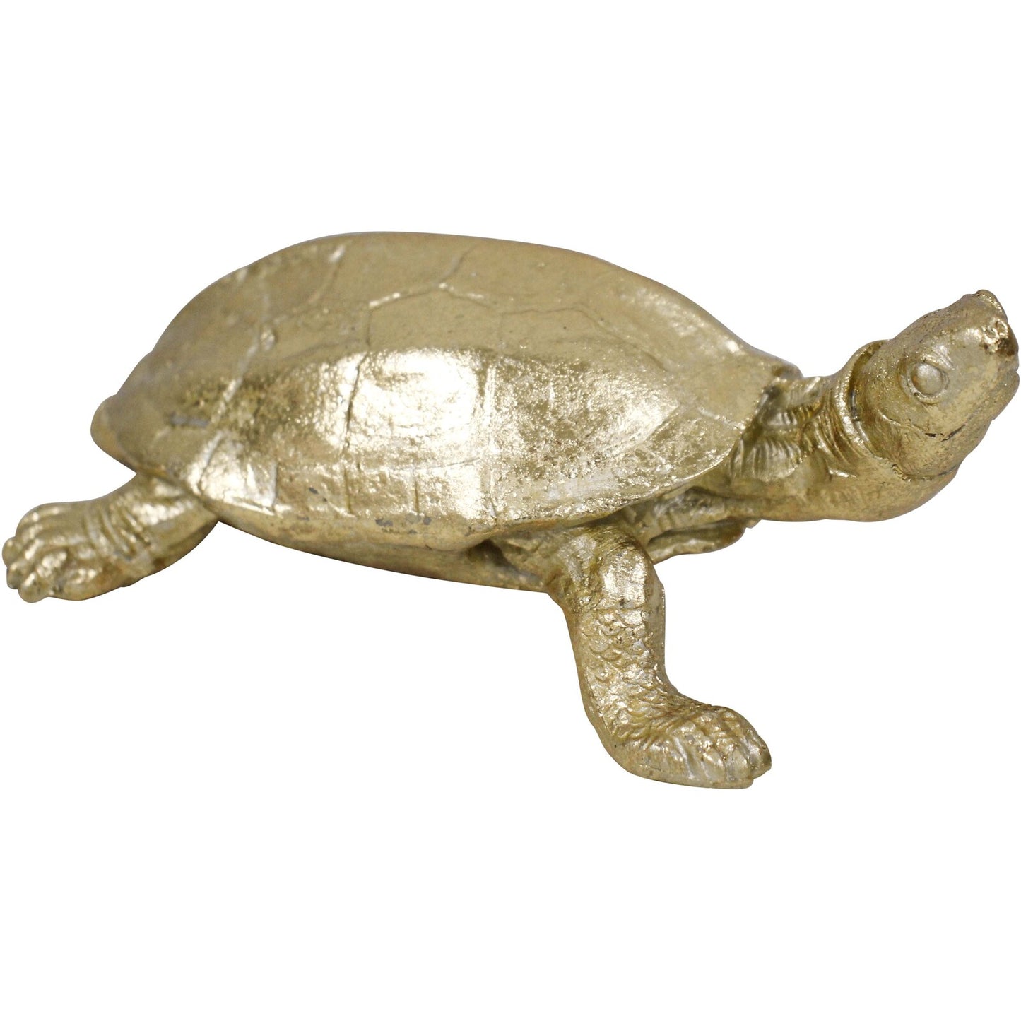 Gold Turtle