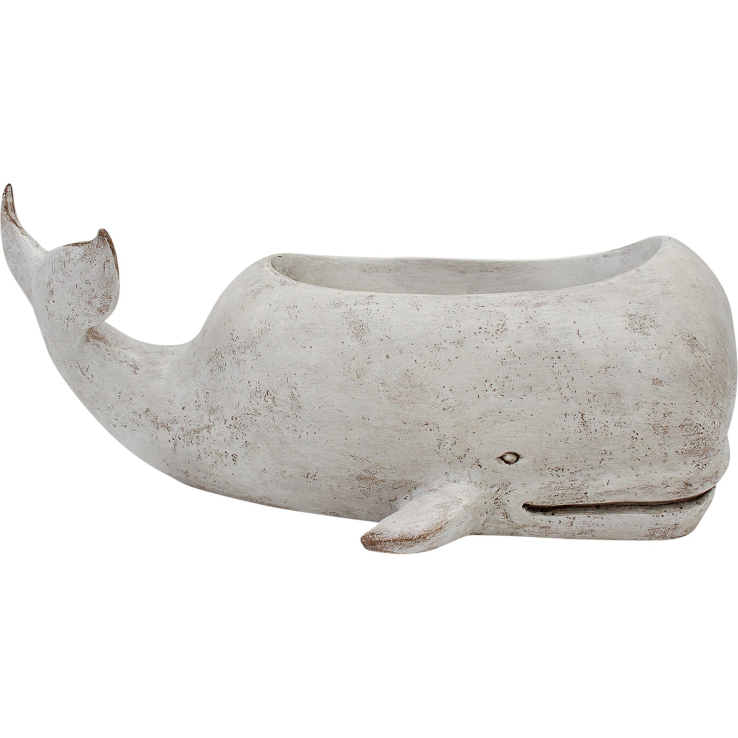 Planter Whale  - Large