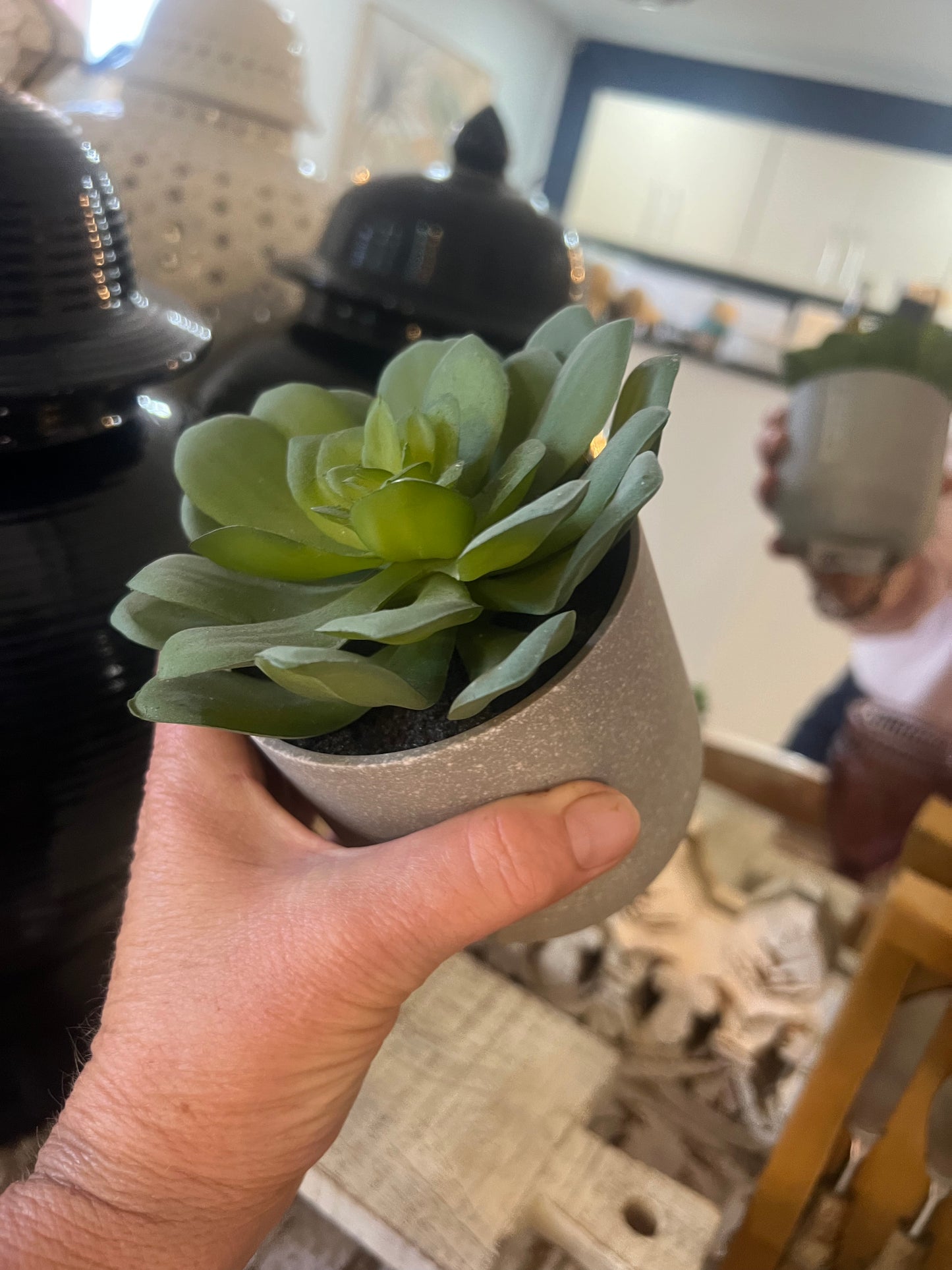 Fake Succulent