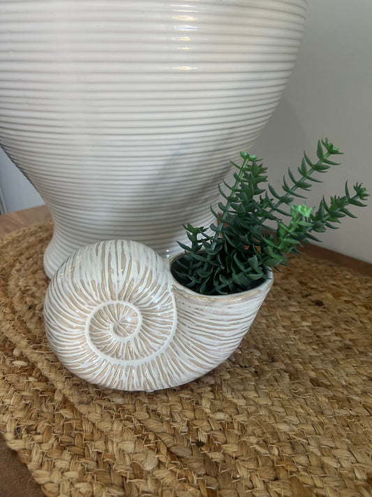 Shell Planter Ivory