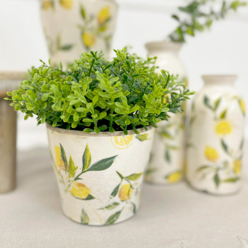 Green potted plant in a decorative pot with lemon design on a light background