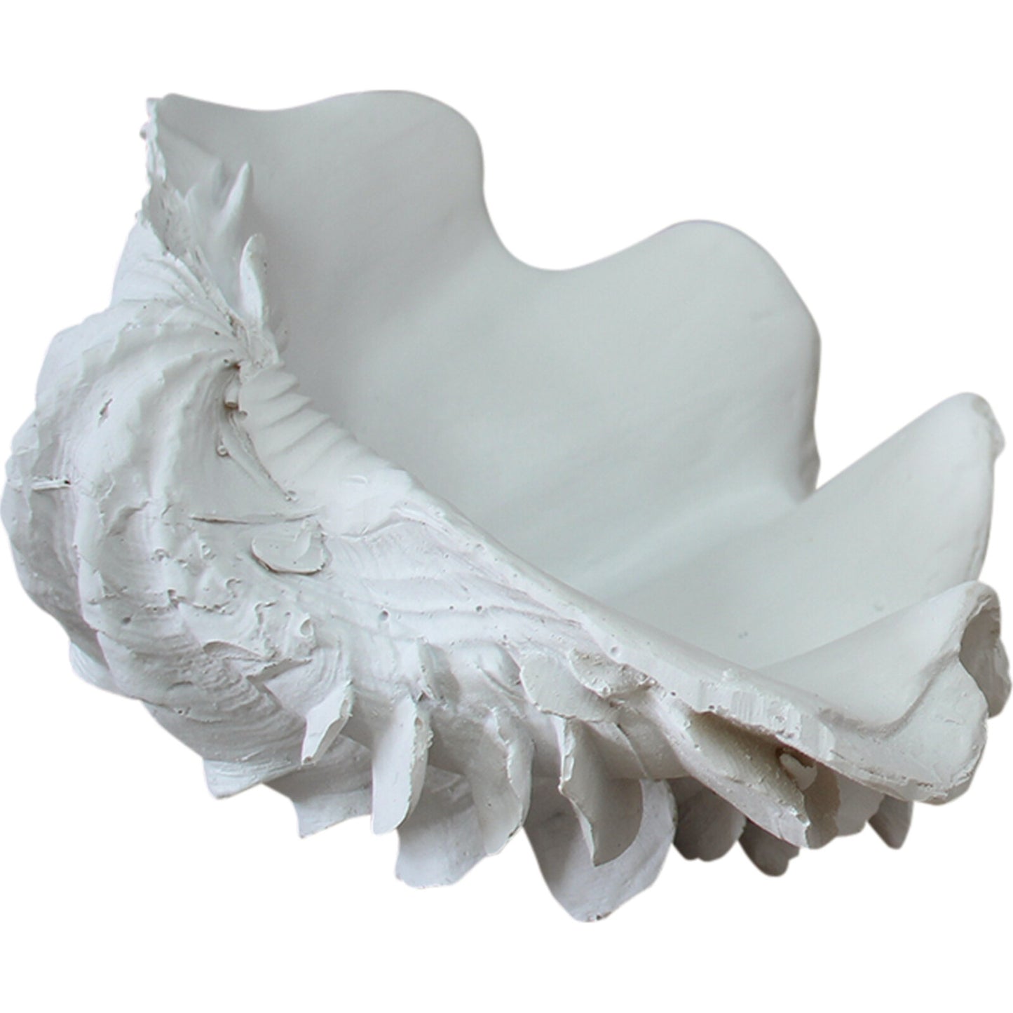 Clam Shell White Medium